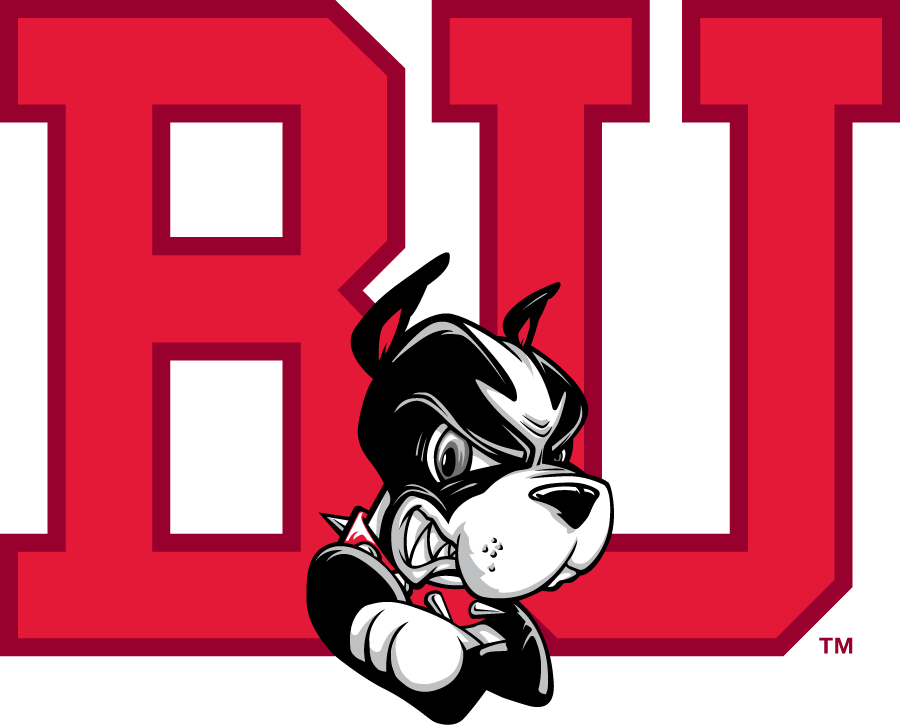 Boston University Terriers 2015-Pres Secondary Logo diy iron on heat transfer